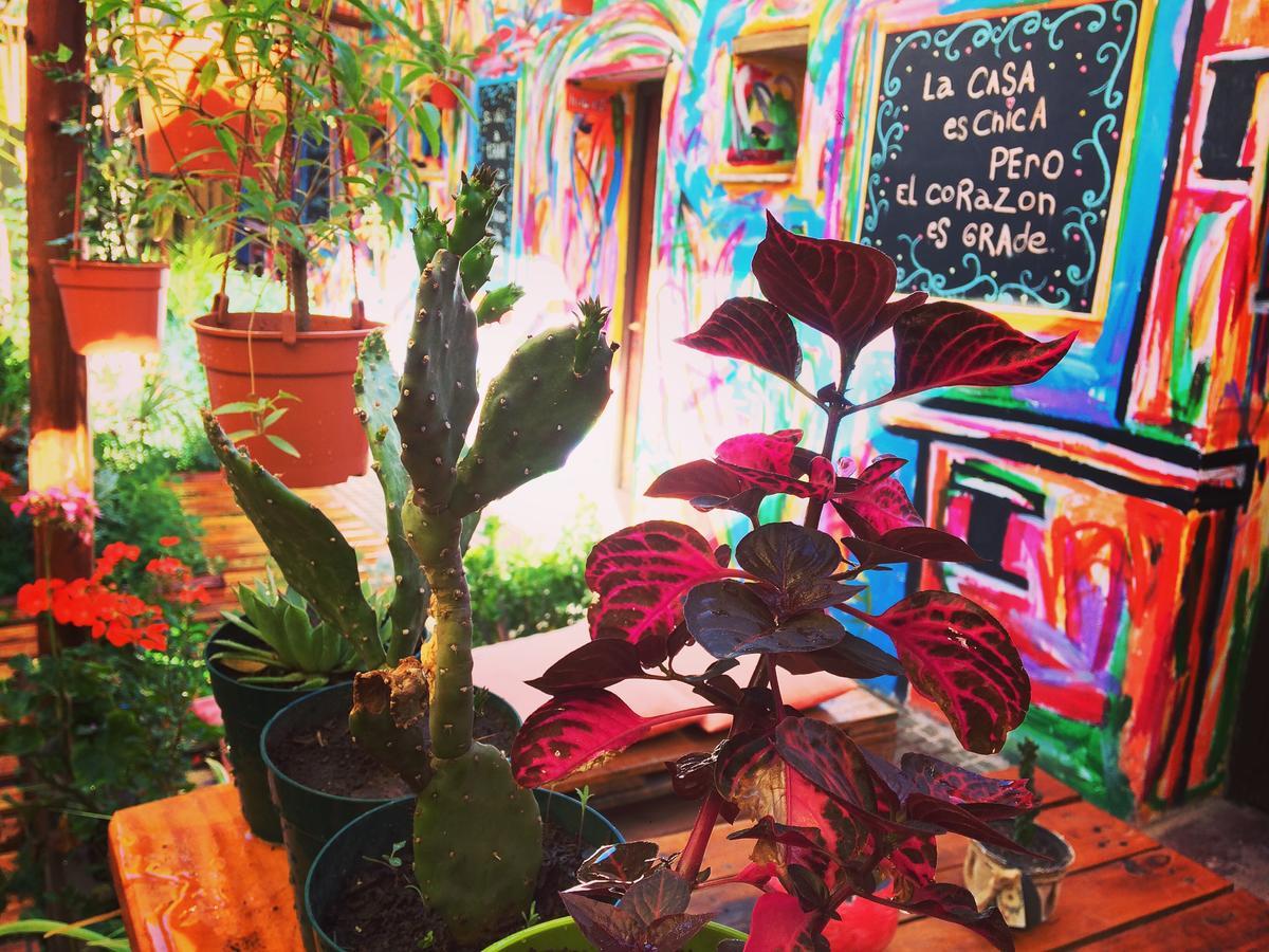 La Puerta Verde Hostel & Bar Умауака Екстериор снимка